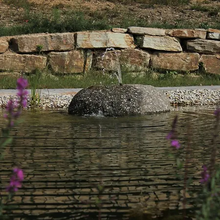 Zum Alten Forsthaus Apartament Messern