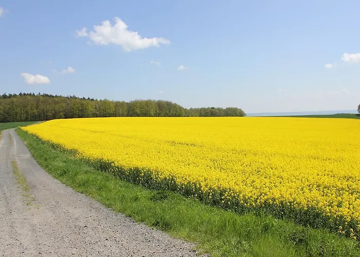 Zum Alten Forsthaus Apartamento